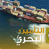 شركة التأمين